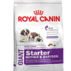 Royal Canin GIANT Starter